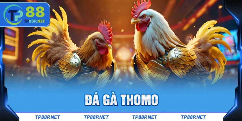 Đá gà thomo